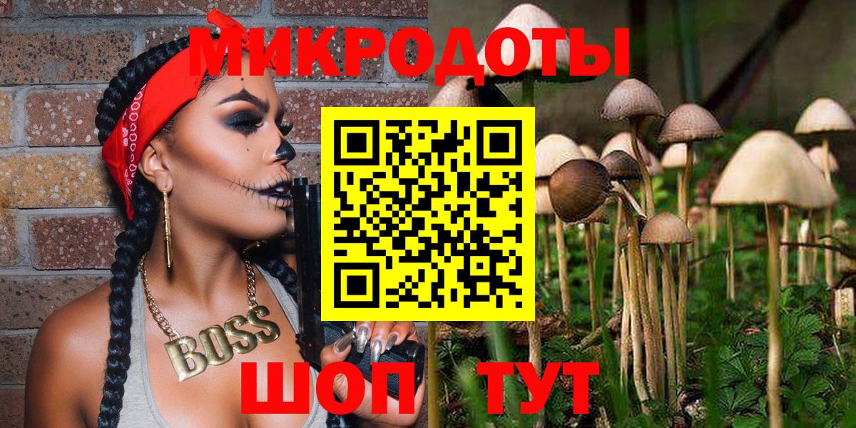 где купить наркотик  Вход с VPN  Тольятти  Галлюциногенные грибы Psilocybine cubensis 