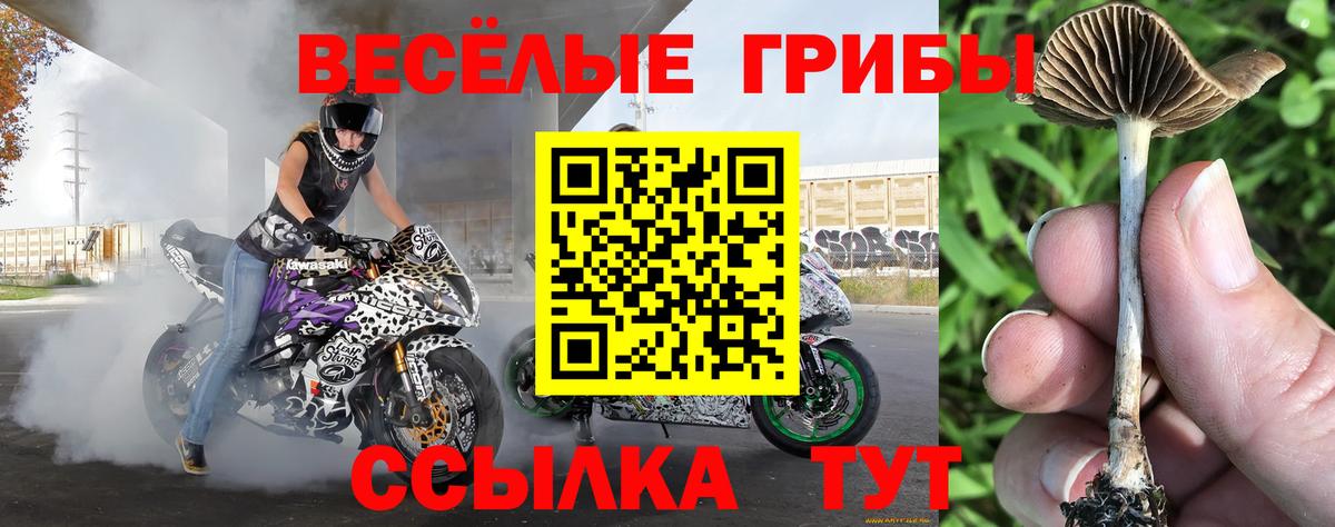 Псилоцибиновые грибы Magic Shrooms Тольятти